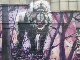 20170220_143625 20170220_143625