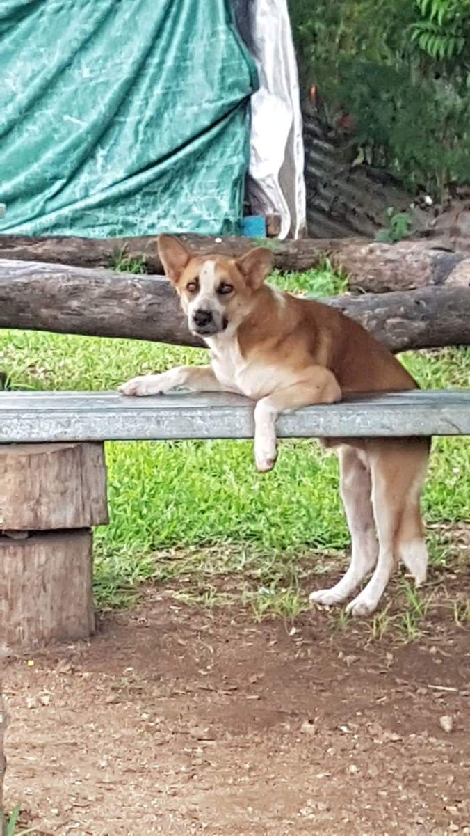 received_981818845759